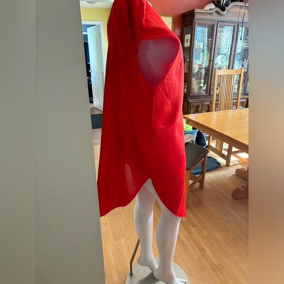 Red Hot Chili Pepper Costume - Picture 4 of 5